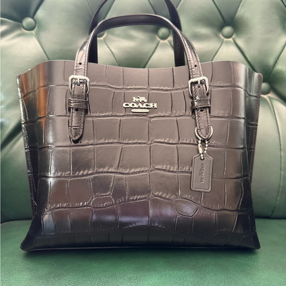 Coach Mollie Tote Bag 25